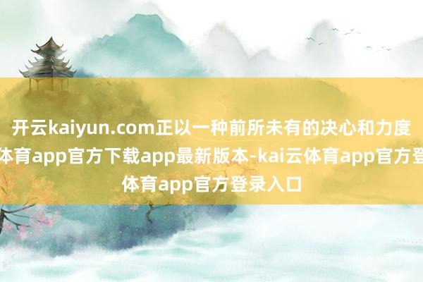 开云kaiyun.com正以一种前所未有的决心和力度-kai云体育app官方下载app最新版本-kai云体育app官方登录入口