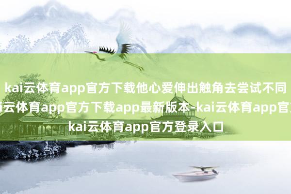 kai云体育app官方下载他心爱伸出触角去尝试不同的事物-kai云体育app官方下载app最新版本-kai云体育app官方登录入口