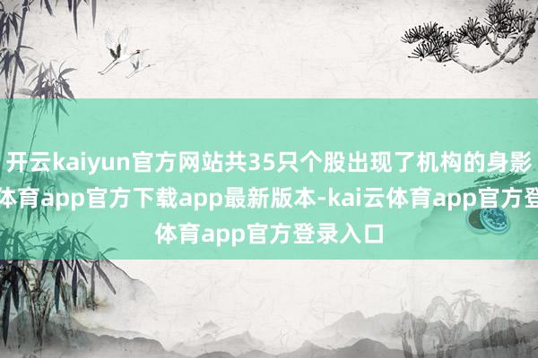开云kaiyun官方网站共35只个股出现了机构的身影-kai云体育app官方下载app最新版本-kai云体育app官方登录入口