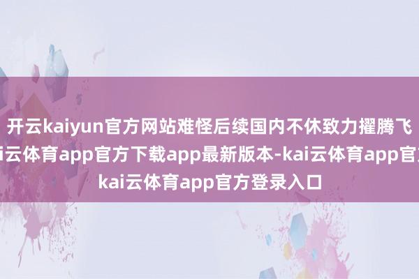 开云kaiyun官方网站难怪后续国内不休致力擢腾飞战性能-kai云体育app官方下载app最新版本-kai云体育app官方登录入口